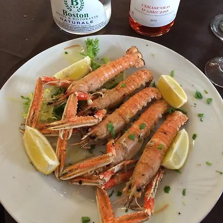 Boston סילבי מרינה